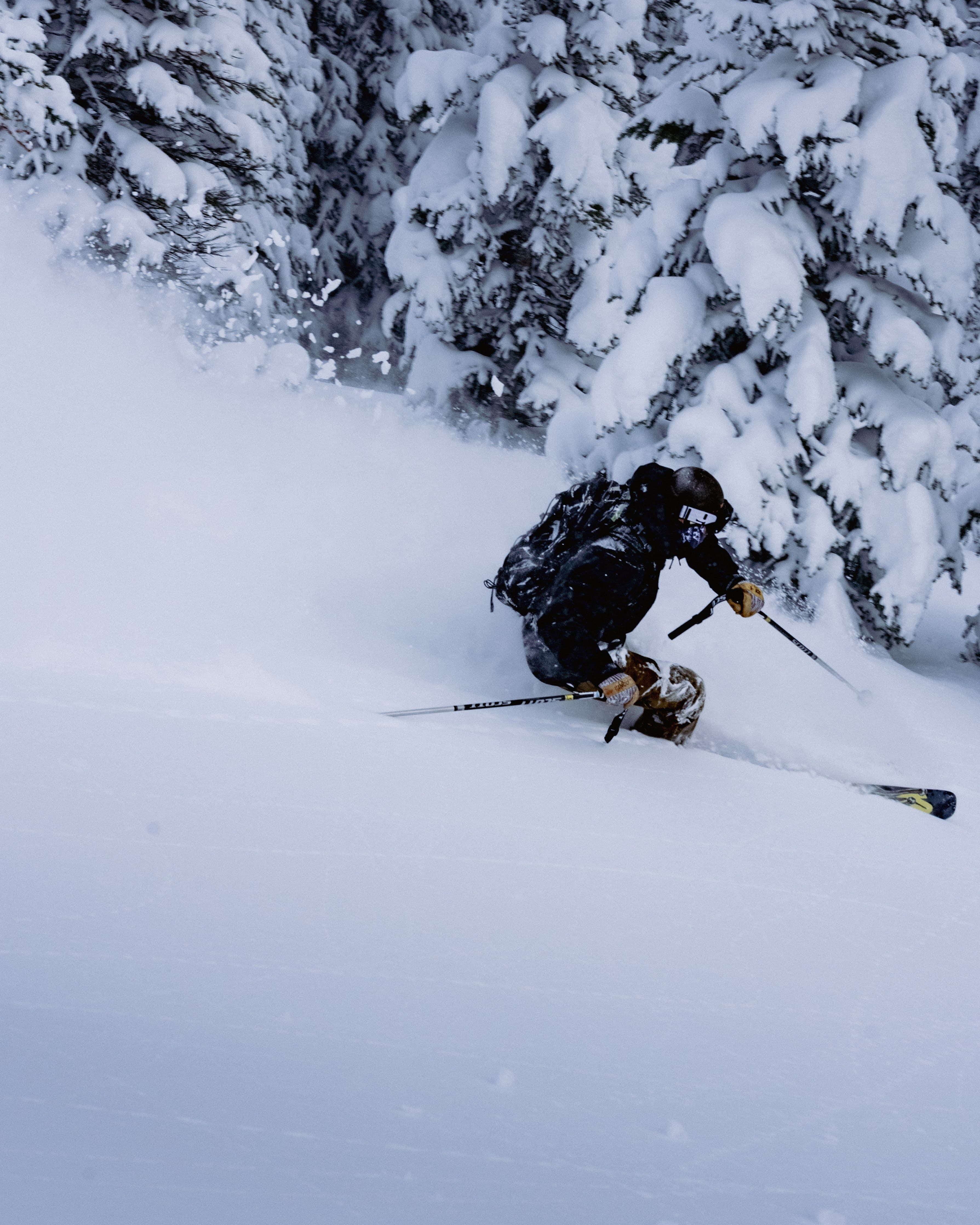 A skier carving through deep powder near snow-loaded trees.